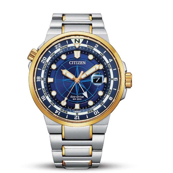 Citizen Quality Non Tarnish Gold/Silver Steel Wristwatch