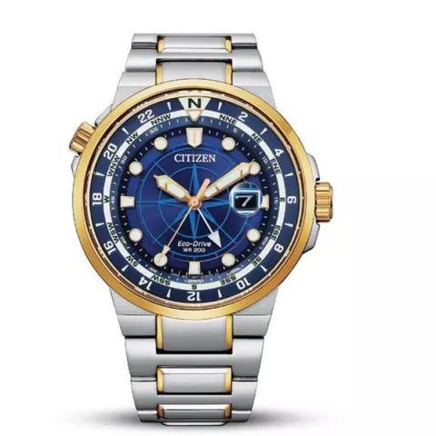 Citizen Quality Non Tarnish Gold/Silver Steel Wristwatch